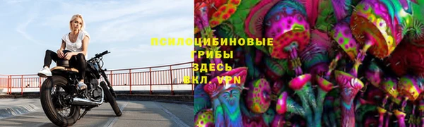 дживик Алексин